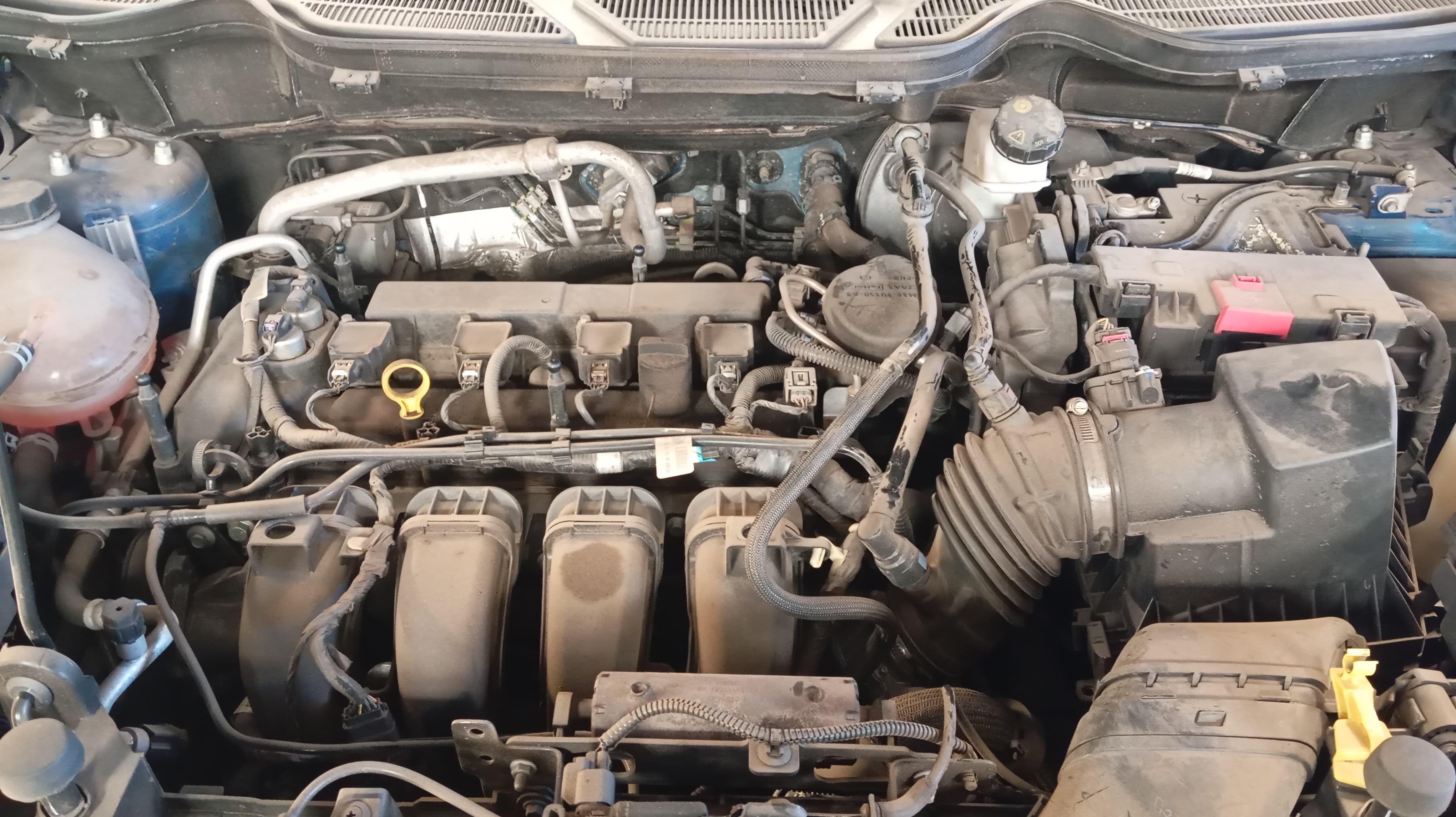 Ford EcoSport 2020 2.0lt Correlation CKP-CMP IN-CMP EX